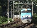 遅延のレールカーゴ (東海道本線 貨物列車 スーパーレールカーゴ[50レ])