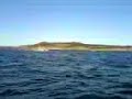 Baja lucky 7 in Langesund Norway