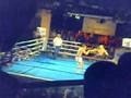 Kincl vs Kuzela