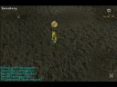 Chaos Elemental Fight