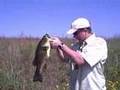 Big Bass in Oklahoma #4