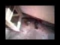 videos marianny = En mi casa1.3g2