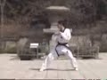korean tiger