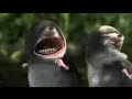 Super Luta ( Anima��o \"com�dia\")