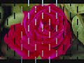 RAH BAND Perfumed Garden 1981