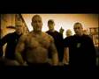 popek-wyjety z pod prawa