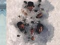 Tha Alkaholiks - Daaam (Feat. Finger Eleven)