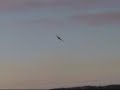 Yt International B25