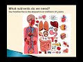 Should we be taking nutritional supplements