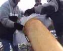 Kanon動画