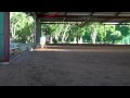 Lisa and Zephyr - Video 5.MP4