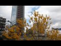 Frühling in Offenbach am Main.mp4