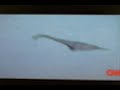 Amazing New Loch Ness Footage! With Sound! Amazing New Loch Ness Footage! With Sound!