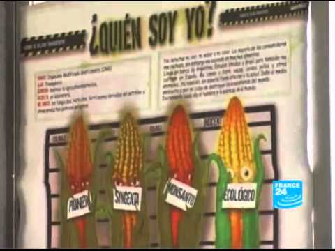 Image de prévisualisation YouTube