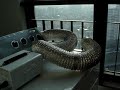 Korean Apartment
