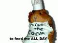 the guinea pig way