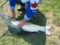 Soare Fishing (pescuit)!!! Un Nou Record