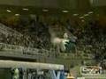 Ginastica Olimpica Gymnastic Olympic