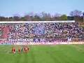 SV Darmstadt 98 - TSG Hoffenheim (kurz vor Anpfiff) (06/07)