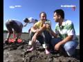 Convidados VIPS - Pt2