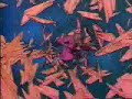 Las tortugas ninjas Opening