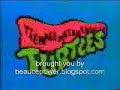 Las tortugas ninjas Opening
