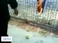 تهران ۱۶ آذر - آتش زدن عکس خامنه ای