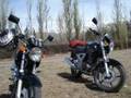 cbx 250 CLUB TWISTER ARGENTINA - 2