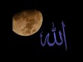 الى كل من يسب معاويه ابن سفيان رضى الله عنه يجب ان يفهموا اننا لانحب الرجال لاشخاصهم ولا لأنسابهم ولا لهوى فى النفس نحن المسلمون نحب الناس فى الله ولله ومن اخطاء فعلى الله حسابه وحبنا للصحابه هو حب لله والرسول ولأننا مامرون بحبهم وان كنا لاننفى الخطاء عن بعضهم فهم بشر ولكننا لانخوض فى اعراضهم ونسبهم مهما كان منهم من خلاف او بغى او صراع لان هذا فسوق وكفر عند العلماء وامرهم وامرنا لله