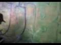 videos de PEKO Y KARPO