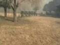 FUEGO EN EL CAMPO - momento en que comenzo el incendio