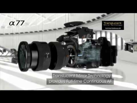 SONY A77 (SONY Alpha SLT-A77) 24.3MP Translucent Mirror Digital SLR Camera Information