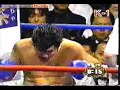 mirko cro cop k-1 nocaut  kickboxing