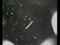 Re: Tether Project Nasa, hundreds of ufo's they're here!!