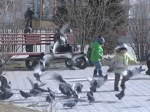 Просмотр видео Просмотр видео