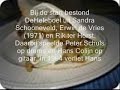 DEHELEBOEL - broodje shoarma
