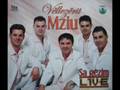 Vellezrit Mziu - Potpuri 2008