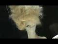 Daniele Cipriani - Fracomina spring-summer 2008 backstage