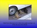 Funny Pics of Funny Things