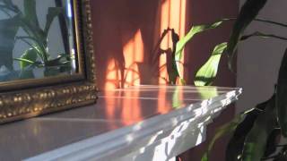 LightPlay *HD*