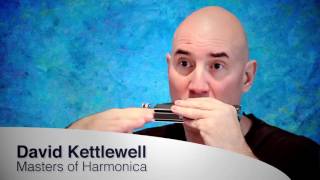  Chromatic Harmonica Tutorial & Review Videos