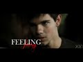 New Moon - Return to Innocence