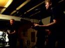 hornet-fear gators