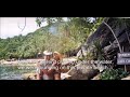 (Disney's) Global Resorts Network Business plus Lifestyle!