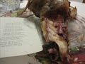 Versos Errantes de Amado Nervo