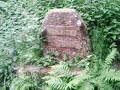 Wieslauter Ursprung - Pfälzer Quelle - (1)