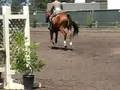 Regent Park Low Hunter 7/23/08
