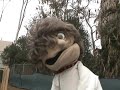 Ask Skippy #7 - Car