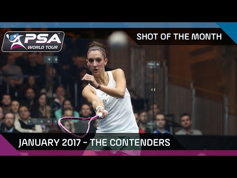 Squash: Shot of the Month January - The Contenders