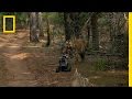 National Geographic Live! - Robot vs. Tiger